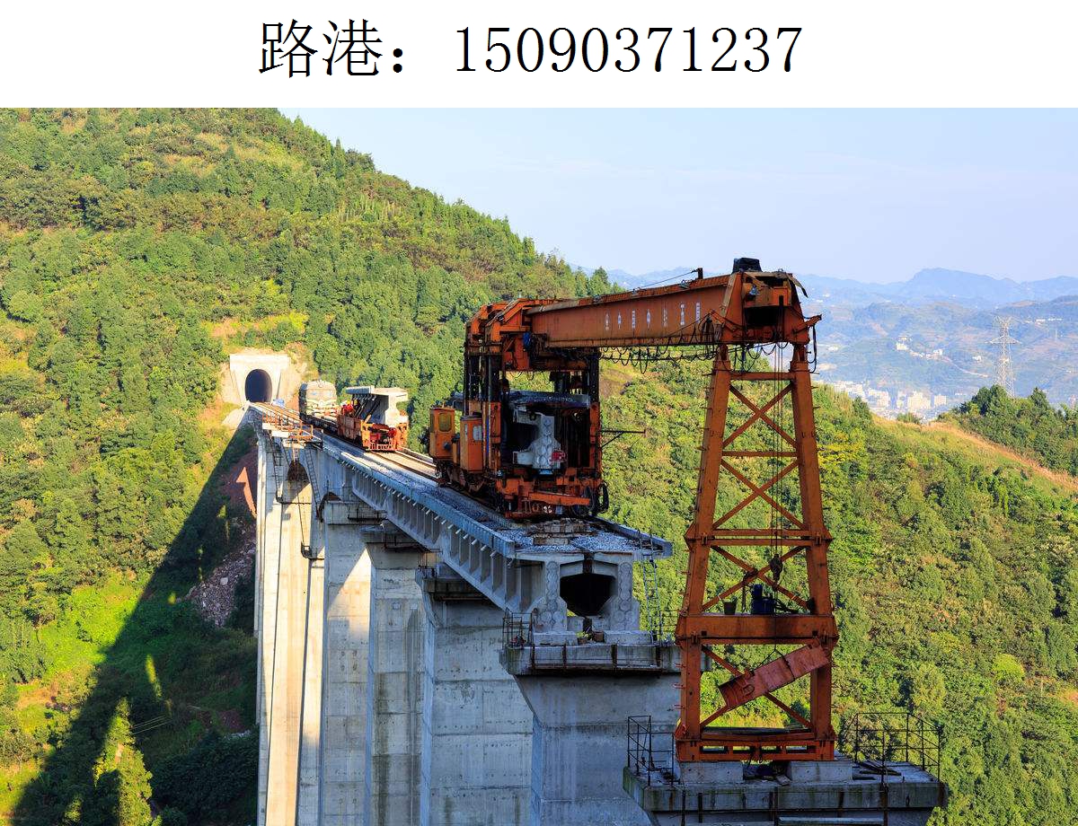 1237路港架桥机204