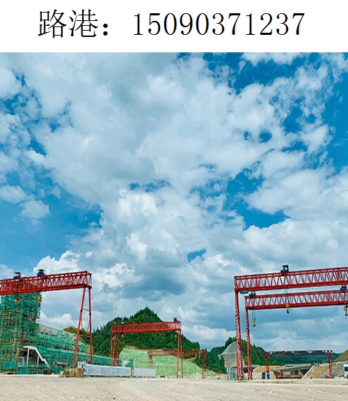 1237路港龙门吊(40)