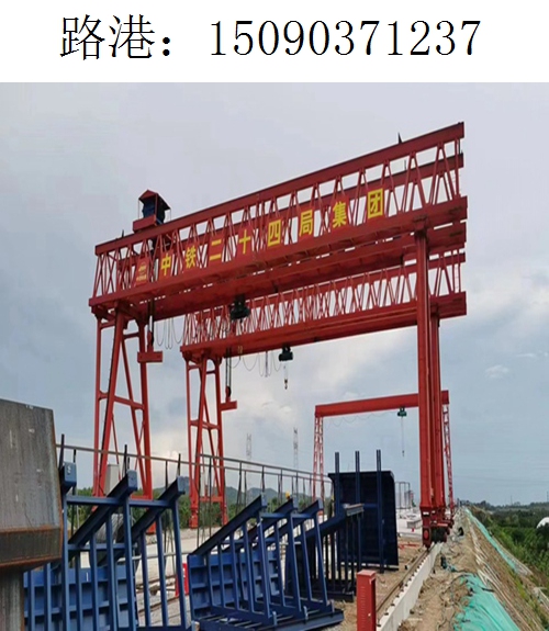 1237路港龙门吊(134)