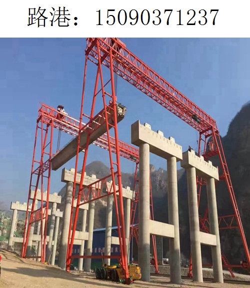1237路港龙门吊(77)